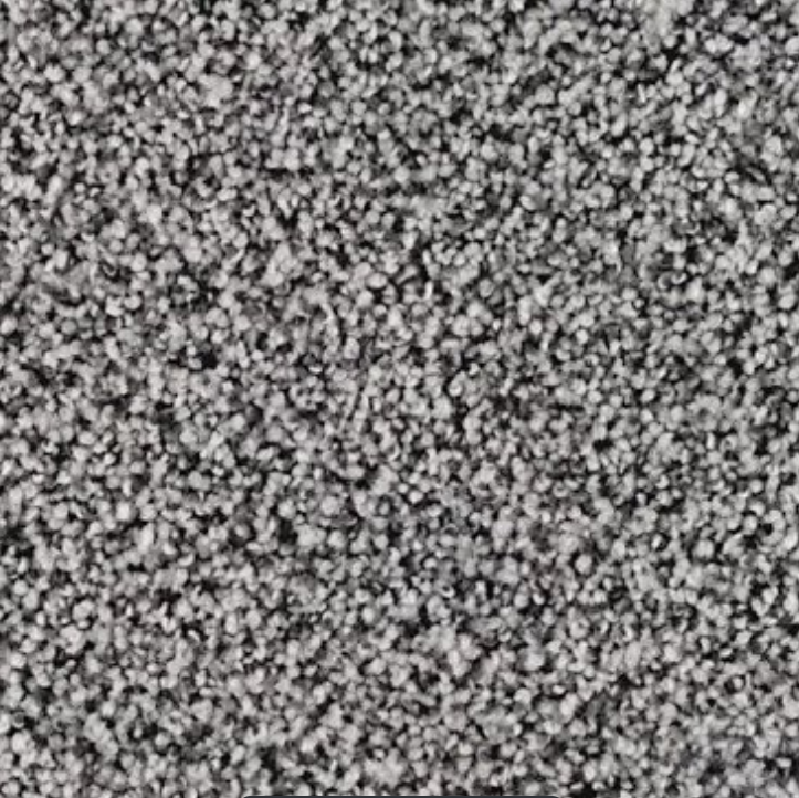 Castle Grounds Carpet by Karastan